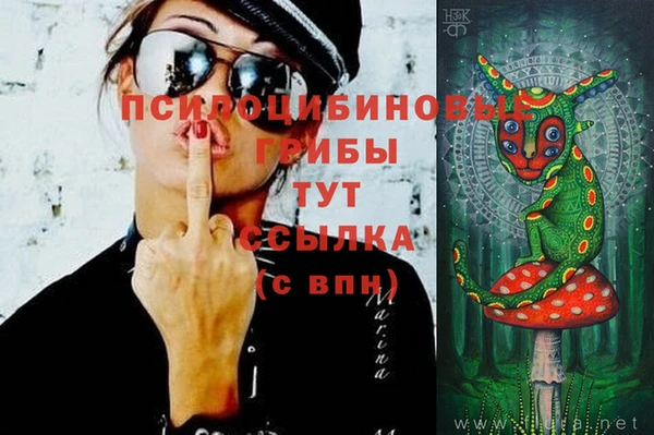 молекула духа Абдулино