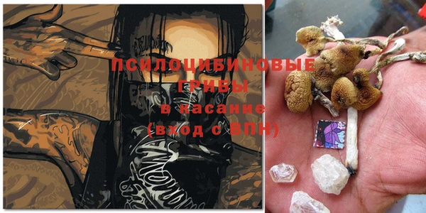 молекула духа Абдулино