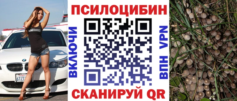 Псилоцибиновые грибы прущие грибы  купить закладку  Чухлома 